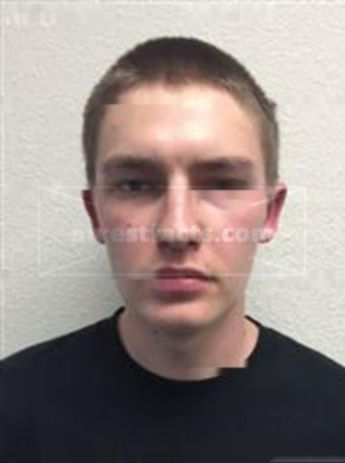 Shaun Robert Brown Anderson