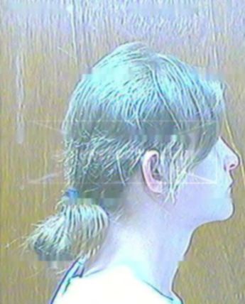 Shirley M Reed