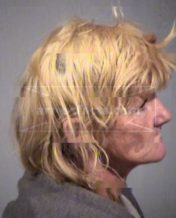 Robin Ellen Wheeler