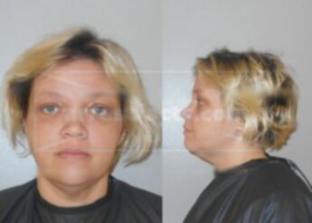 Mary Ellen Marie Wilkinson