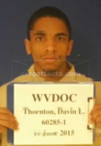 Davin L Thornton