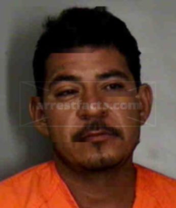 Rogelio Mendoza Gonzalez