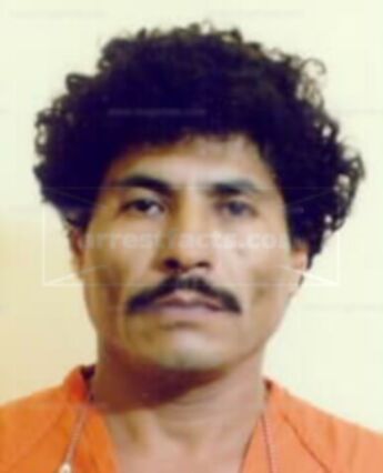 Manual Mendoza Martinez