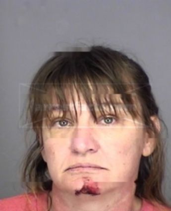 Patricia Ann Brant