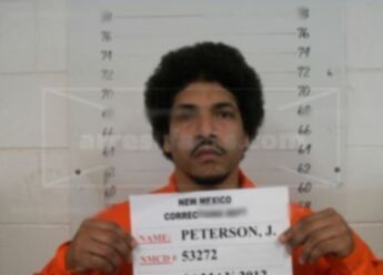 Joe Willie Peterson