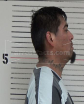 Isidro Castillo