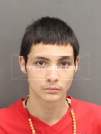 Sebastian T Gomez