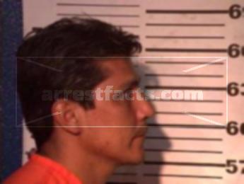 Francisco Flores Vega