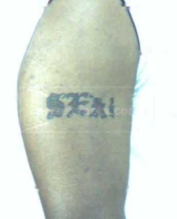 Sexton Omodelle Keith