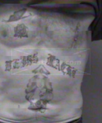 Robert S Williams