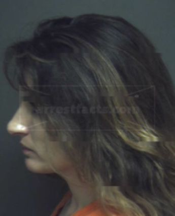 Shelley Dameron Knowles