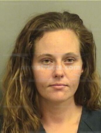 Shannon L Danison