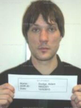 Adam Windfield Dodge