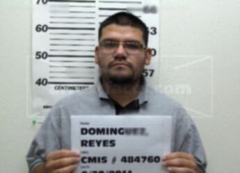 Reyes Dominguez