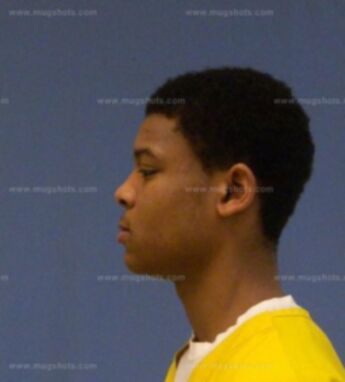 Dominic D Cloyd
