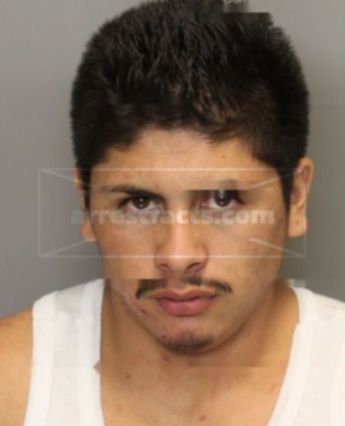 Gomez Edward Anthony