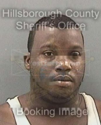 Darien L Lewis