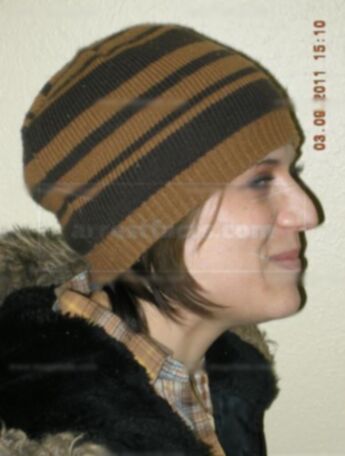 Lisa M Steward