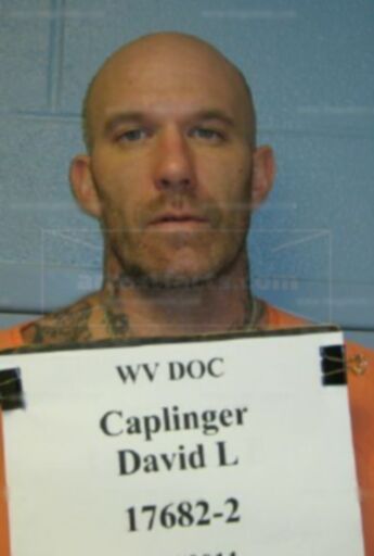 David L Caplinger
