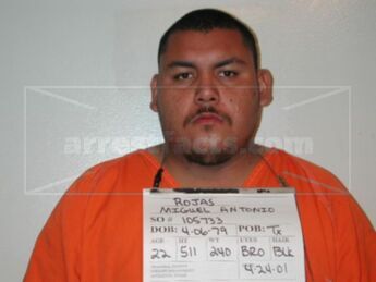Miguel Antonio Rojas