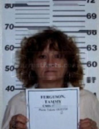 Tammy Sue Ferguson
