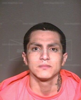 Andrew Ortega