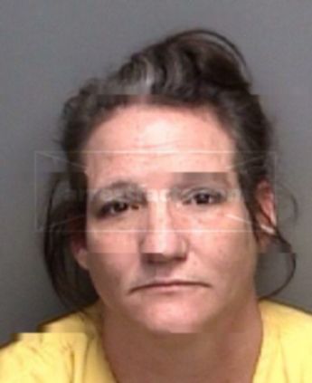 Patricia Anne Wheeler