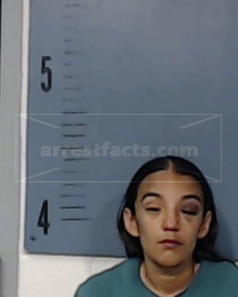 Krystal Renee Villarreal