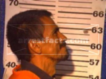 Alfredo Reyna Villalpando
