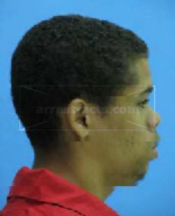 Michael Lee Mathis