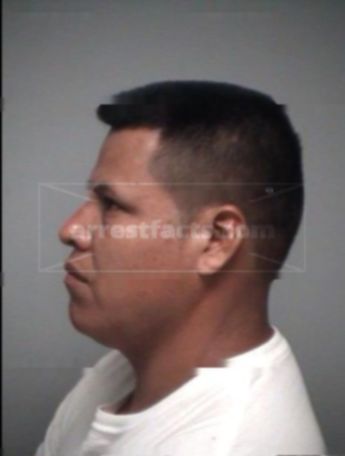 Federico R Morales