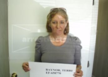Terri Lynn Baynor