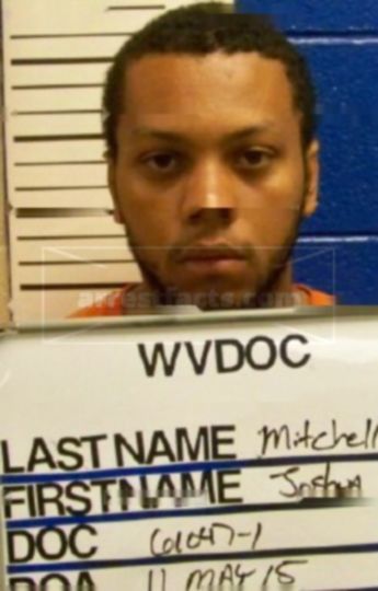 Joshua R Mitchell