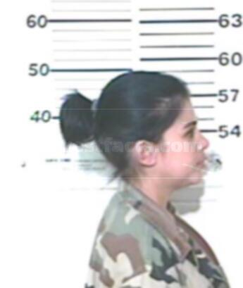 Noemi Chavarria Balli Casas