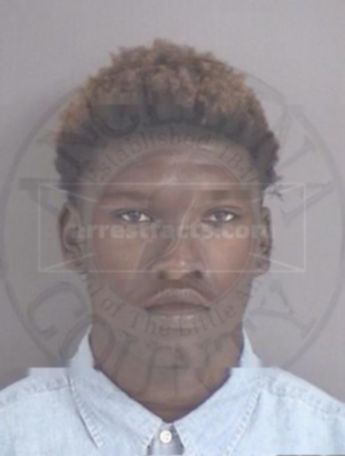 Myster Willie Calloway