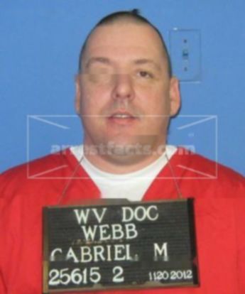 Gabriel M Webb