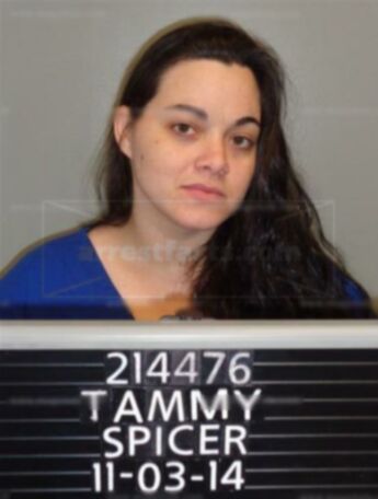 Tammy Robin Spicer