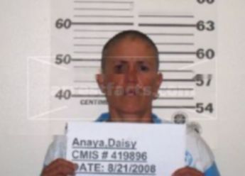 Daisy Anaya