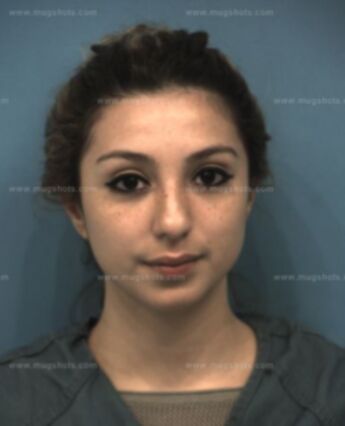 Georgina Lee Villarreal
