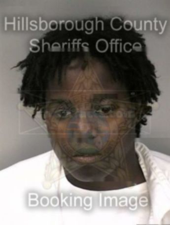 Alaina Nichole Riggins