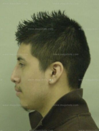 Martin Dominguez Jr.