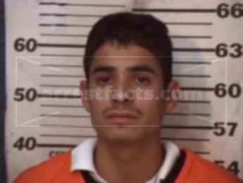 Leo Negrete Ramirez