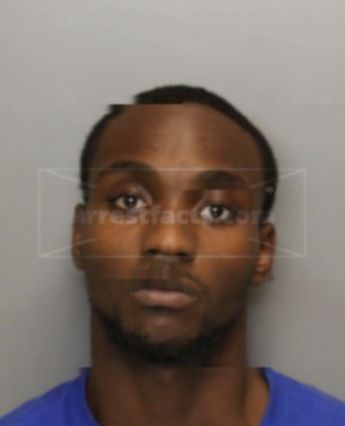 Brown Rondarius Tyrone