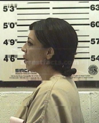 Elsie A Fernandez