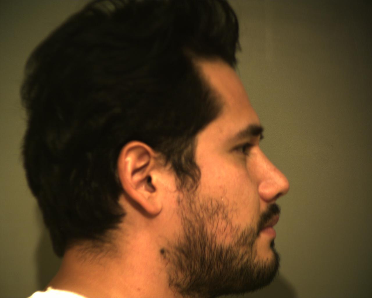 Luis Cerda Cisneros