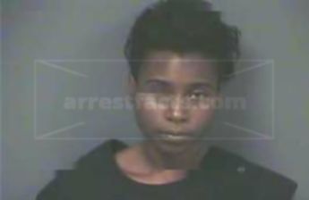 Brittney Charisa Summers