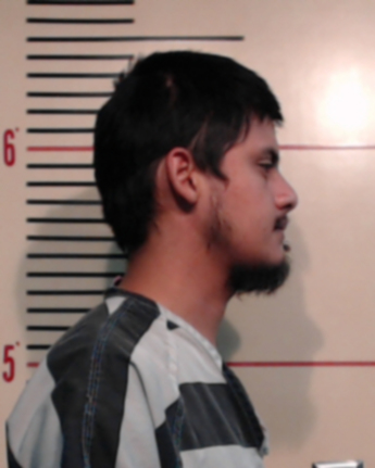 Luis Guardado