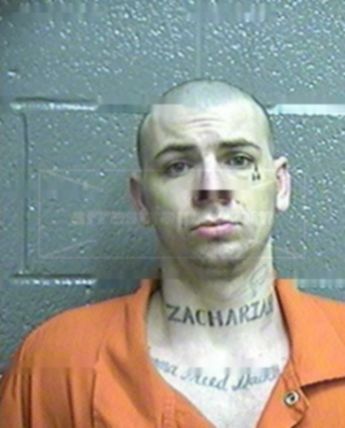 Troy L Mills Jr.