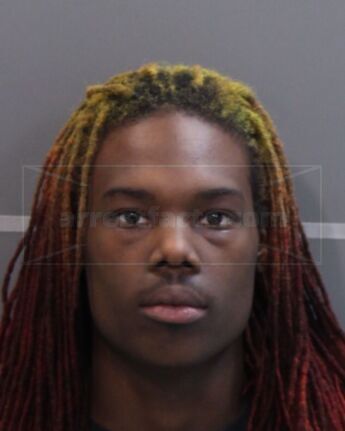 Bradlee Mitchell Holloway