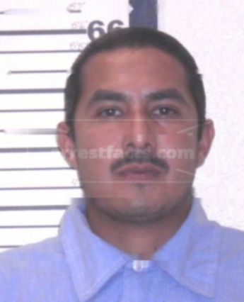 Michael Bustamante